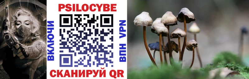 где можно купить наркотик Спасск Псилоцибиновые грибы Psilocybine cubensis